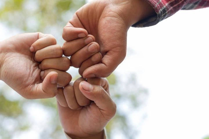 hands-trees-growing-seedlings